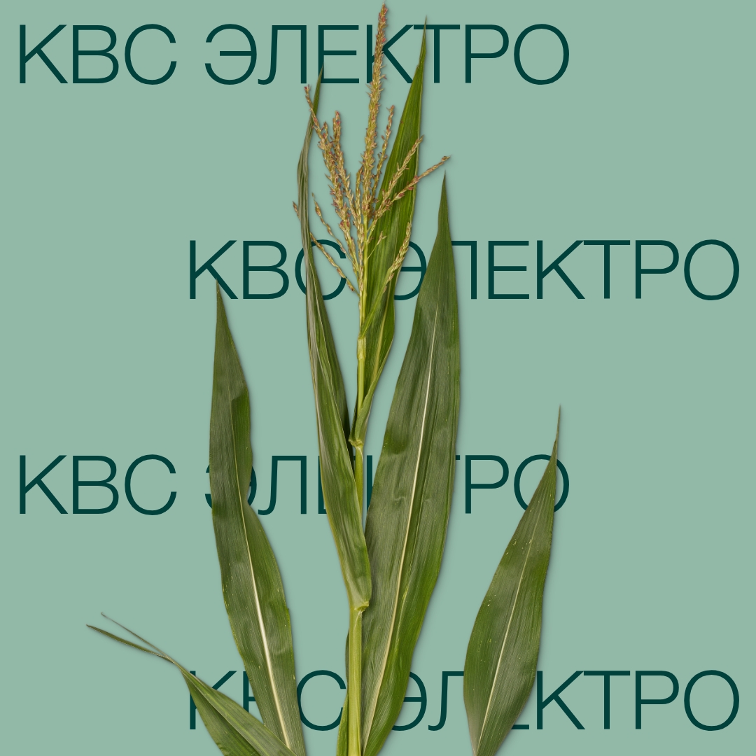 kvs_elektro_keyvisual_kg_1x1_1.jpg