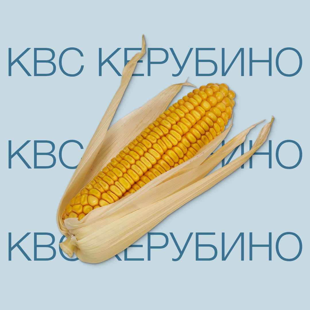 kvs_kerubino_keyvisual_kg_1x1_1.jpg