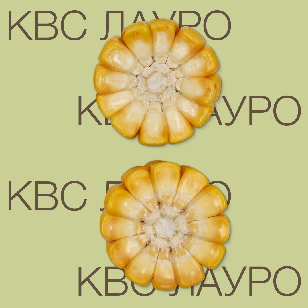 kvs_lauro_keyvisual_kg_1x1_1.jpg