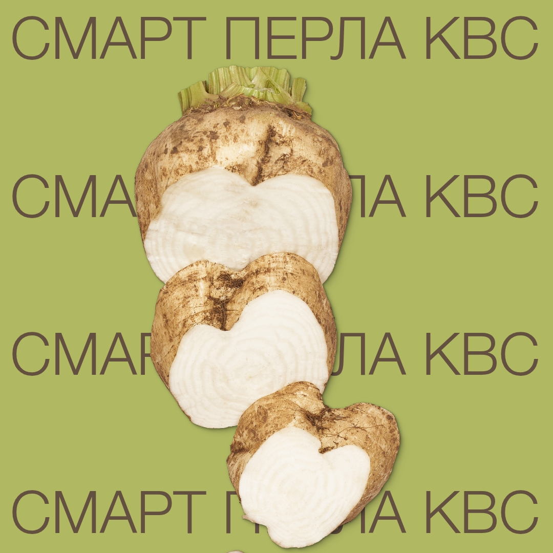 SMART-PERLA-KWS_KG2.jpg