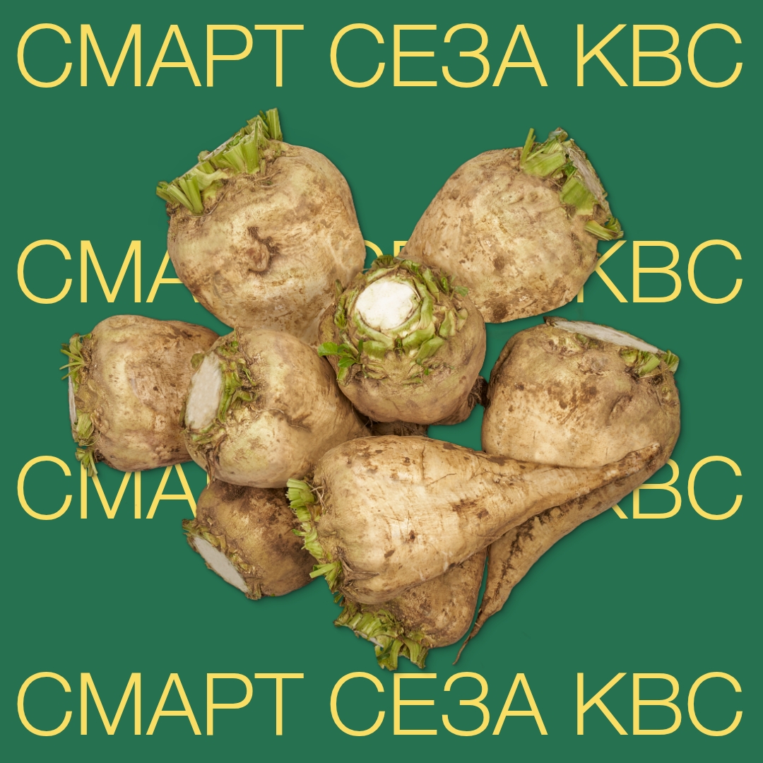 SMART-SEZA-KWS_KG3.jpg