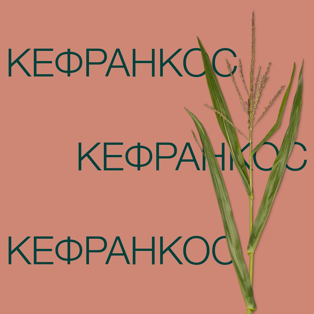 kefrankos_keyvisual_kz_1x1_1.jpg