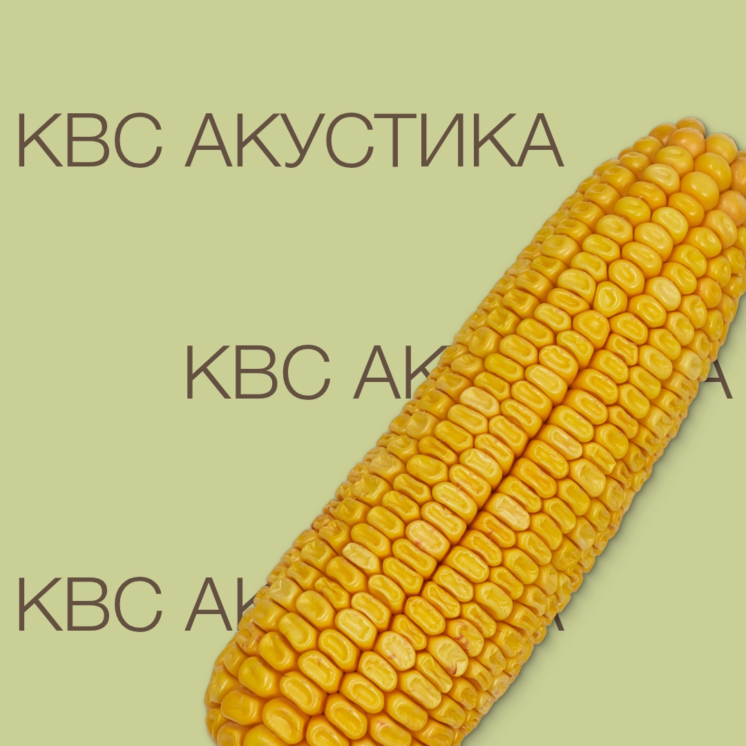 kvs_akustika_keyvisual_kz_1x1_1.jpg