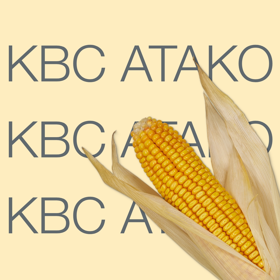 kvs_atako_keyvisual_kz_1x1_1.jpg