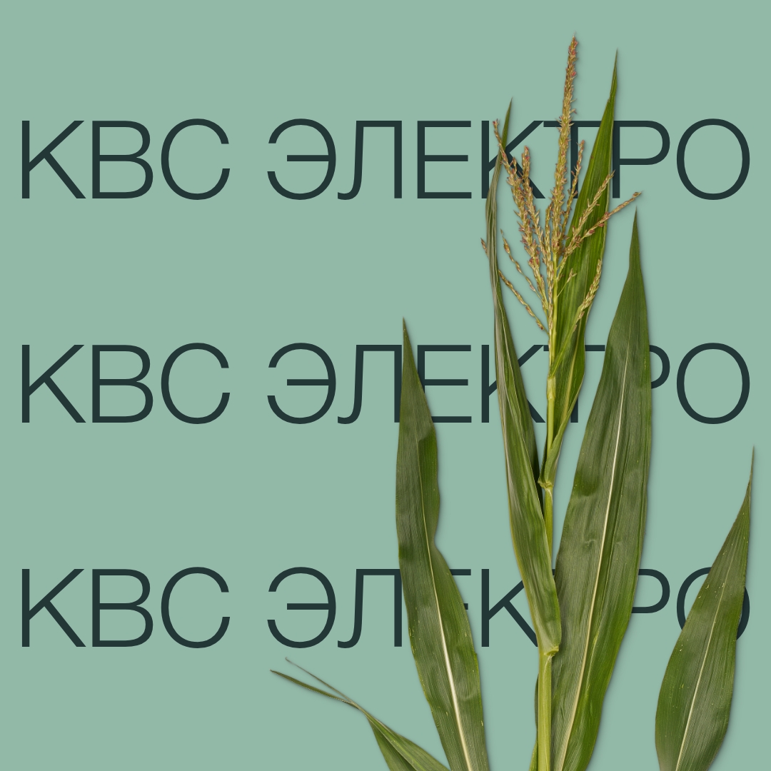 kvs_elektro_keyvisual_kz_1x1_1.jpg