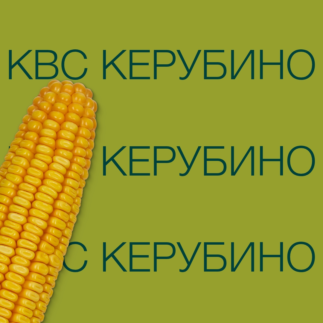 kvs_kerubino_keyvisual_kz_1x1_1.jpg