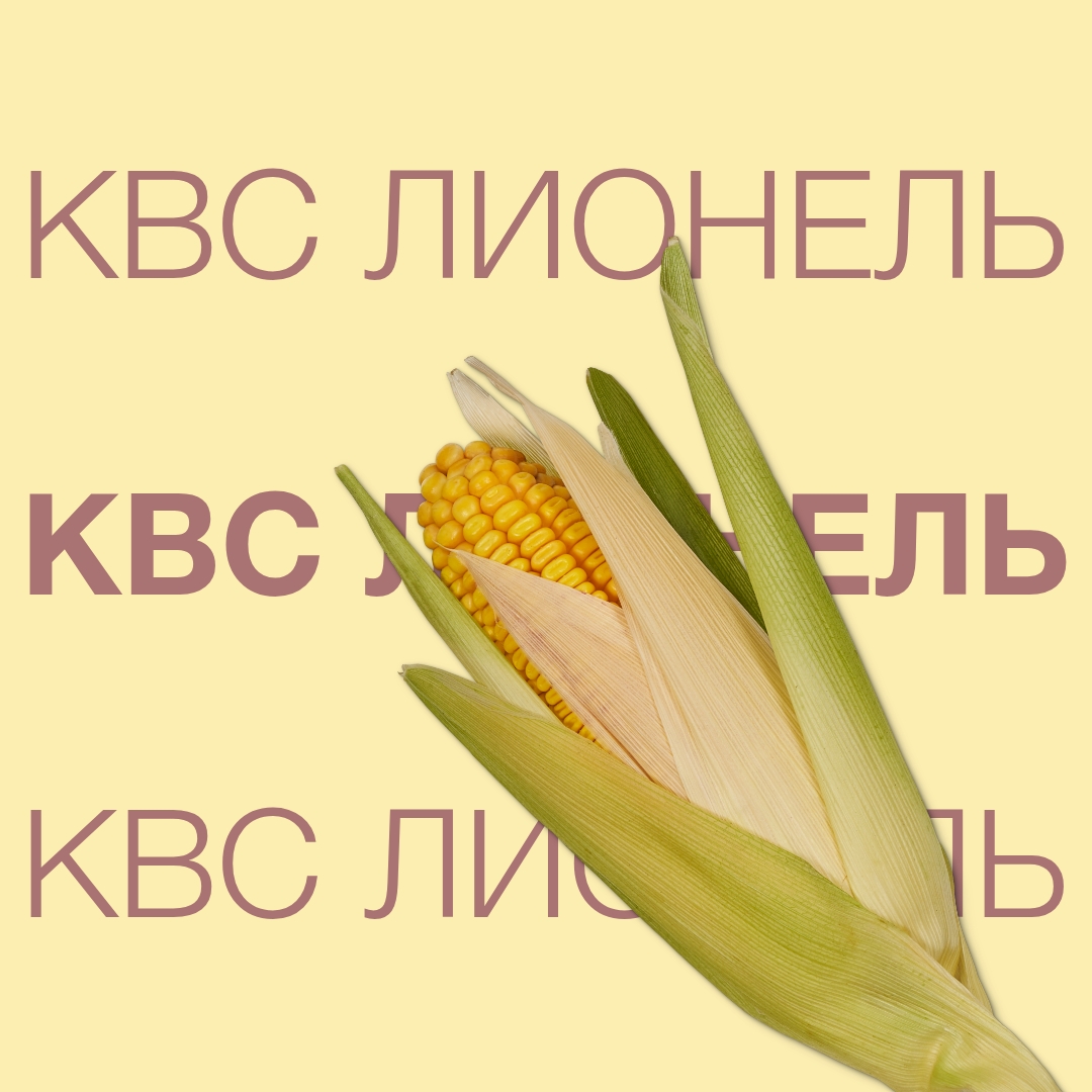 kvs_lionel_keyvisual_kz_1x1_1.jpg