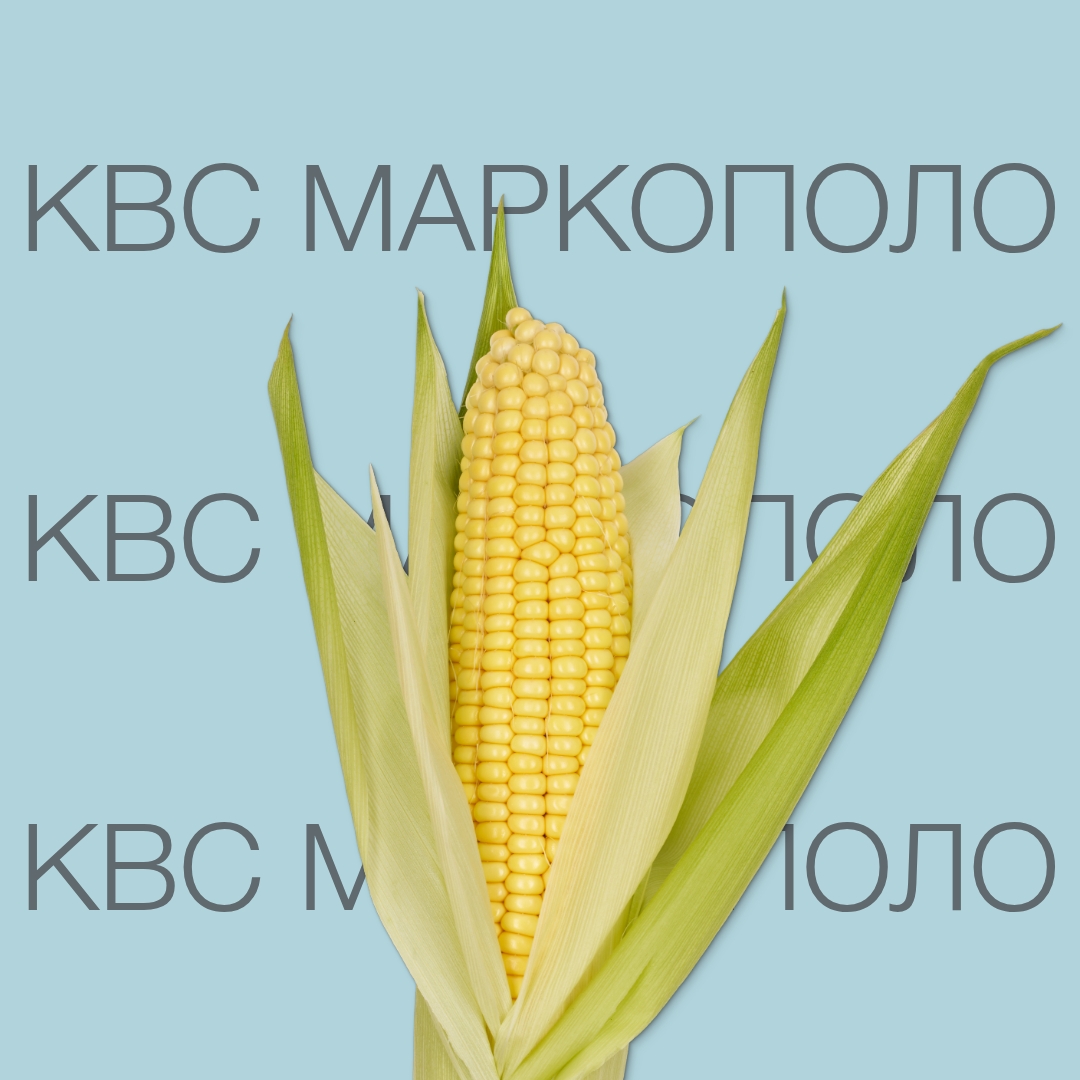 kvs_markopolo_keyvisual_kz_1x1_2.jpg