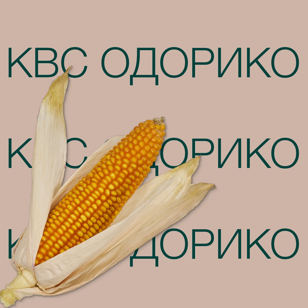 kvs_odoriko_keyvisual_kz_1x1_1.jpg