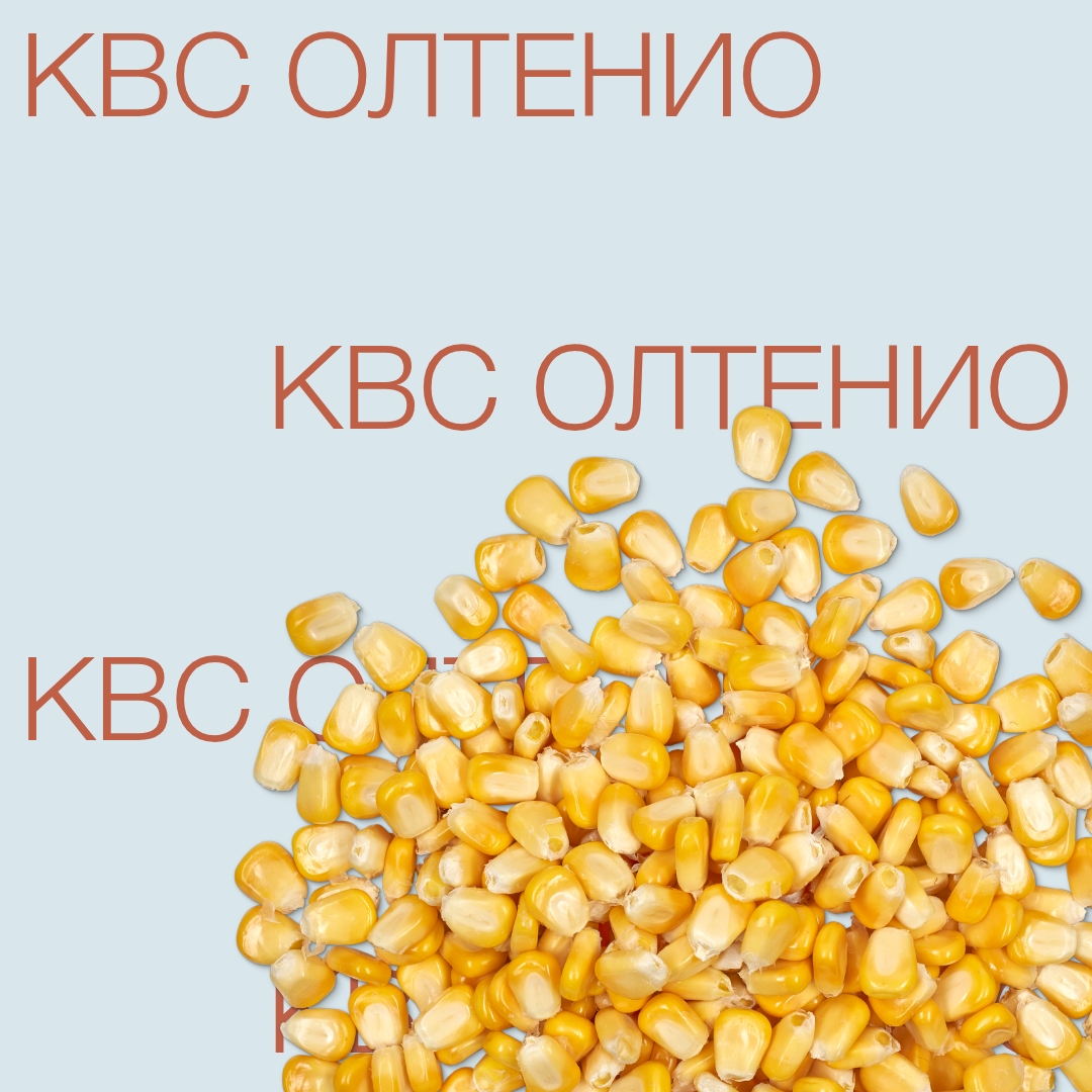kvs_oltenio_keyvisual_kz_1x1_1.jpg
