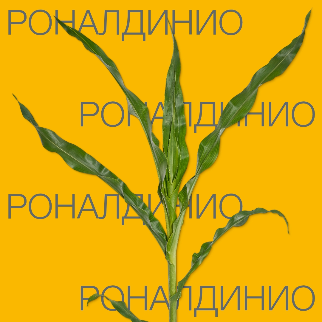 ronaldinio_keyvisual_kz_1x1_1.jpg