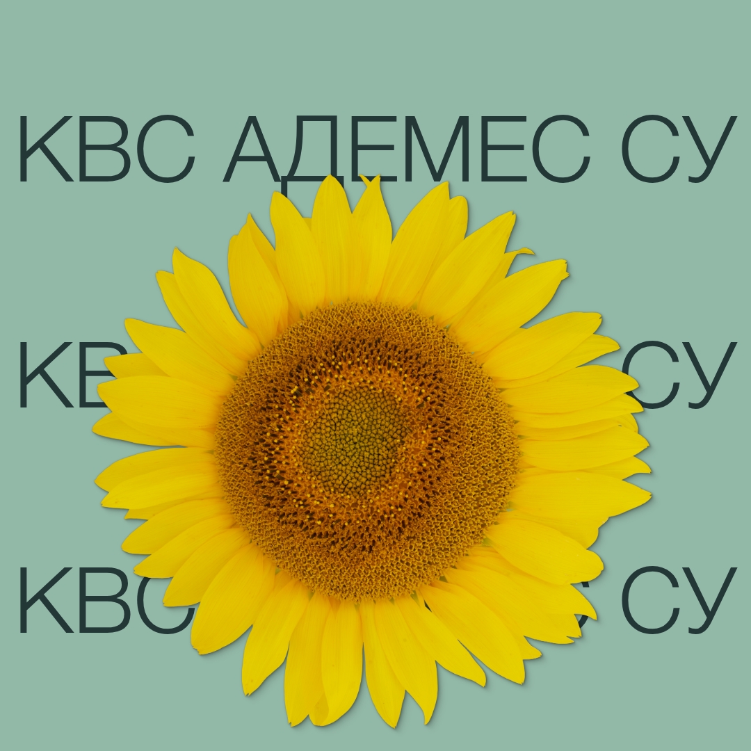 kvs_ademes_su_keyvisual_kz_1x1_1.jpg