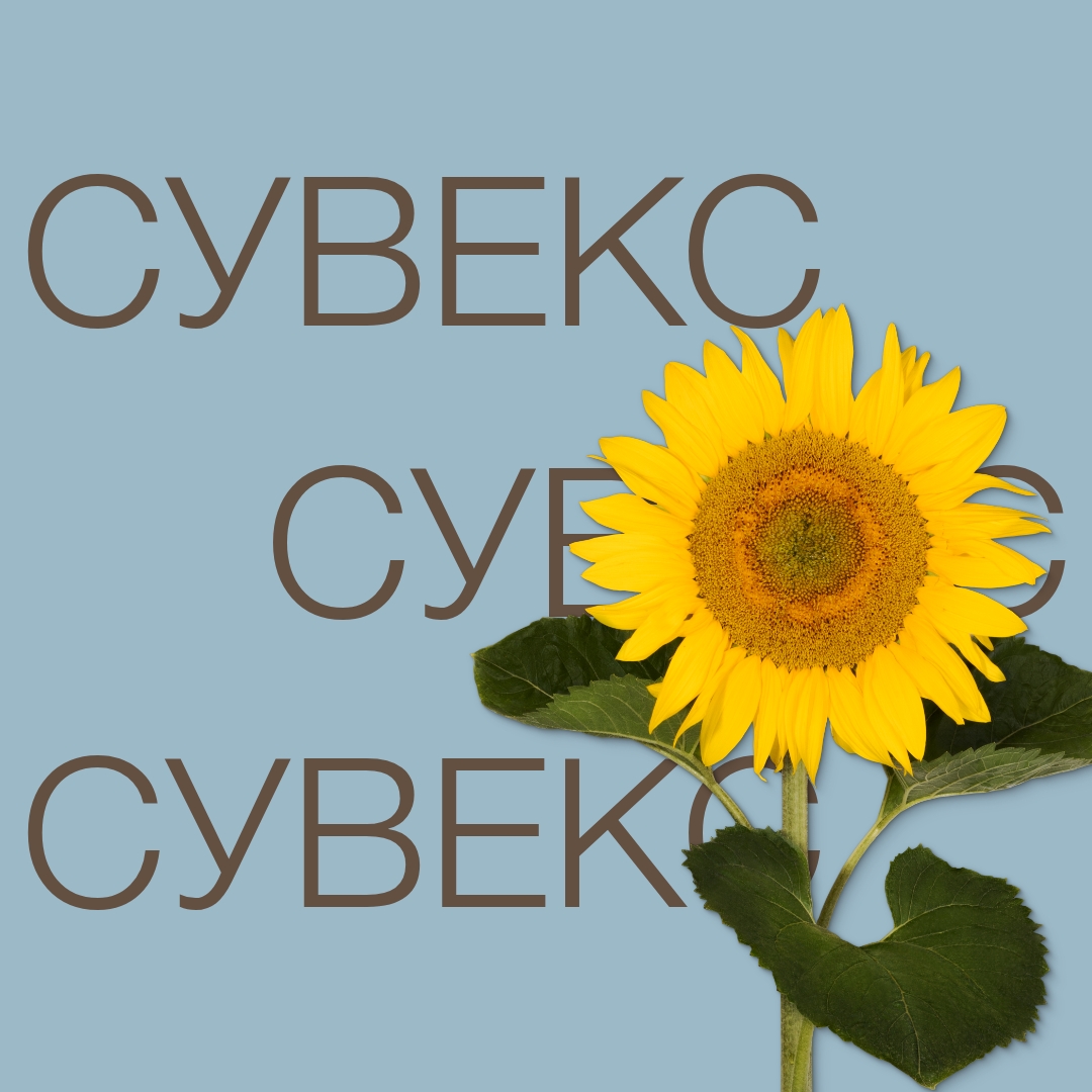suveks_keyvisual_kz_1x1_1.jpg