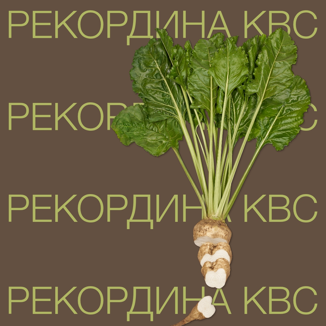 rekordina_kbc_keyvisual_kz_1x1_2.jpg