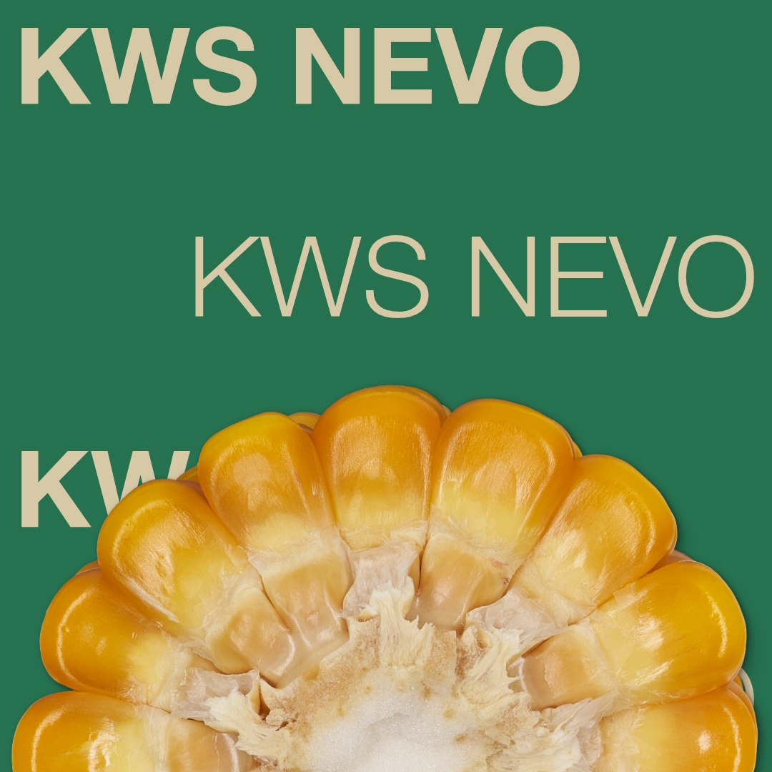 kws_nevo_keyvisual_lt_1x1_1.jpg