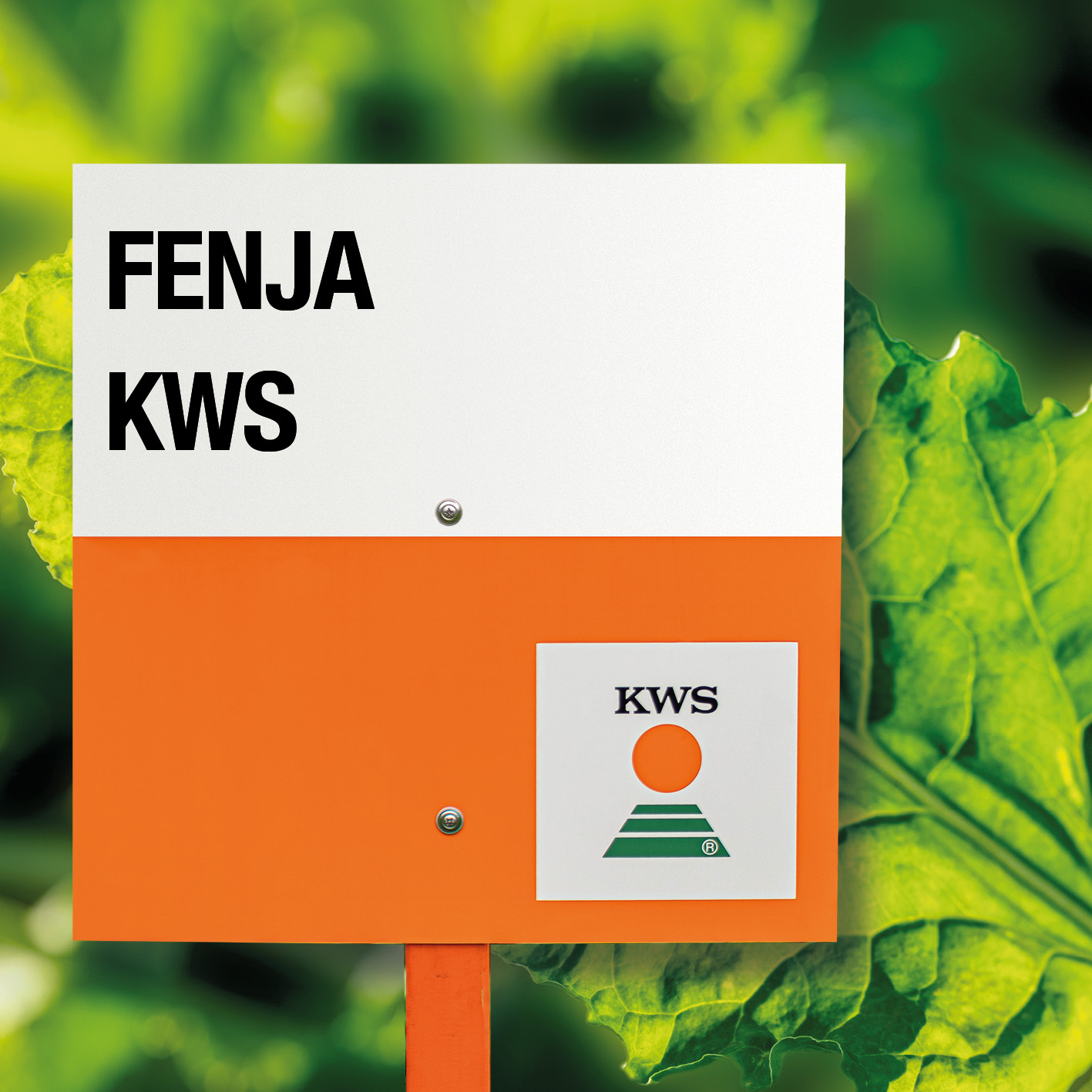 FENJA-KWS_LT.jpg