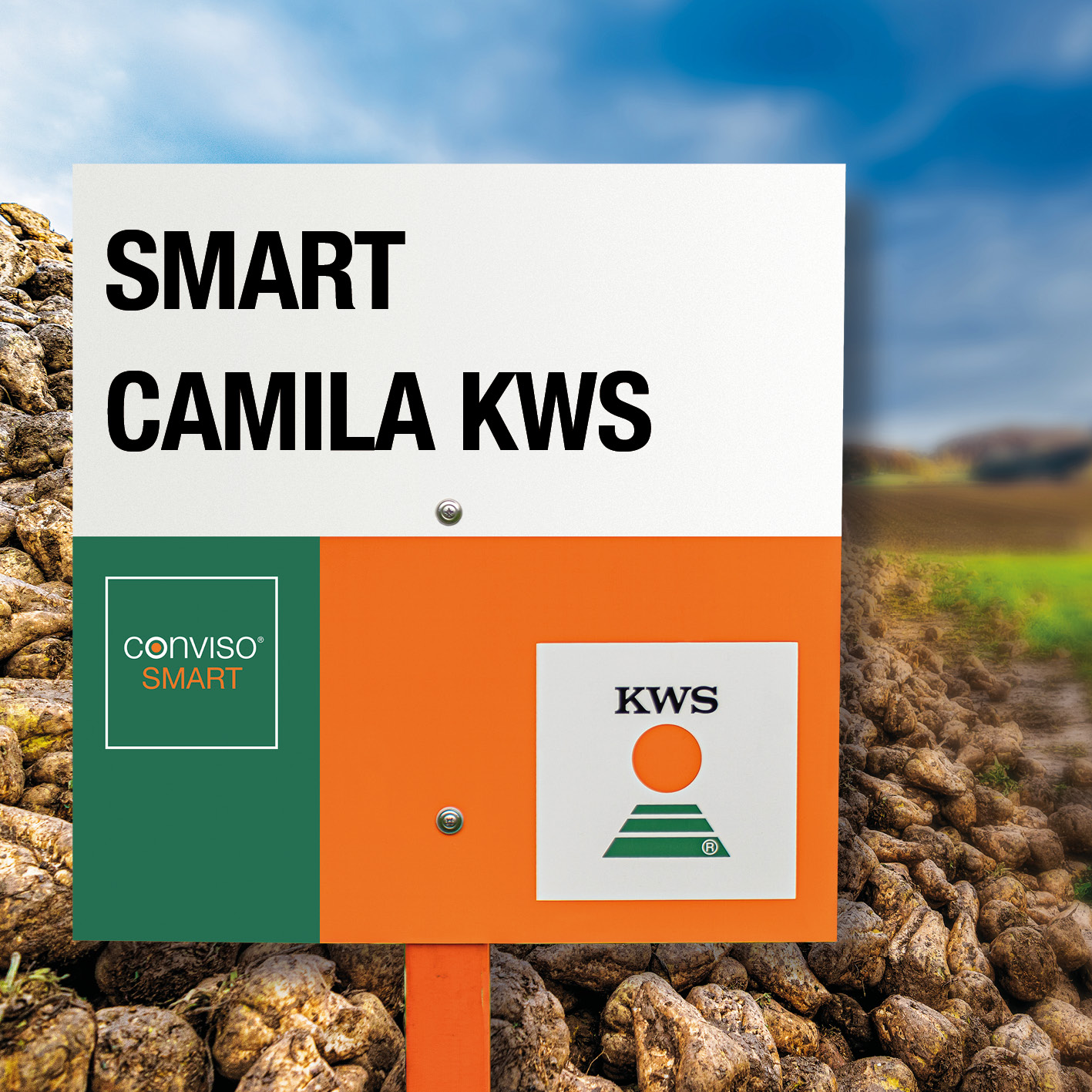 SMART-CAMILA-KWS_LT.jpg