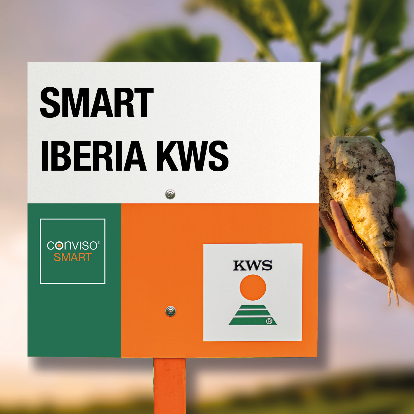 SMART-IBERIA-KWS_LT.jpg