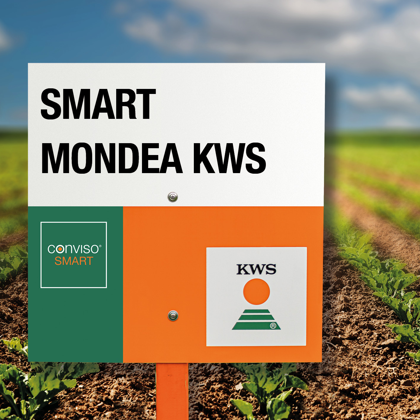 SMART-MONDEA-KWS_LT.jpg