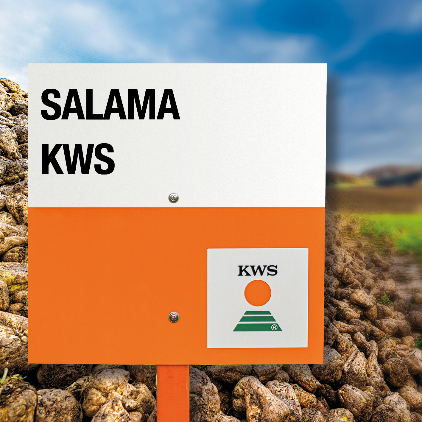SALAMA-KWS.jpg
