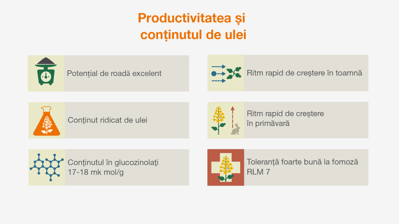 kws_factor_productivitatea.png