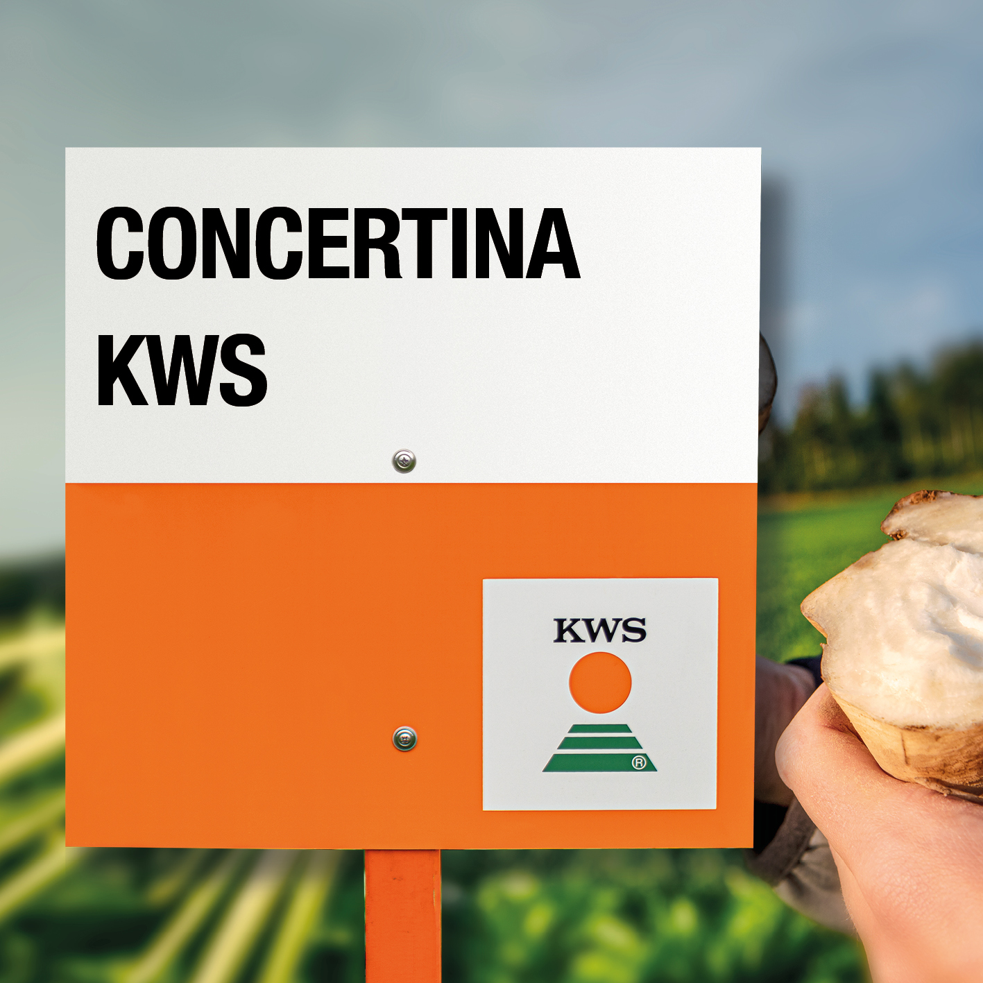 CONCERTINA-KWS-MD.jpg