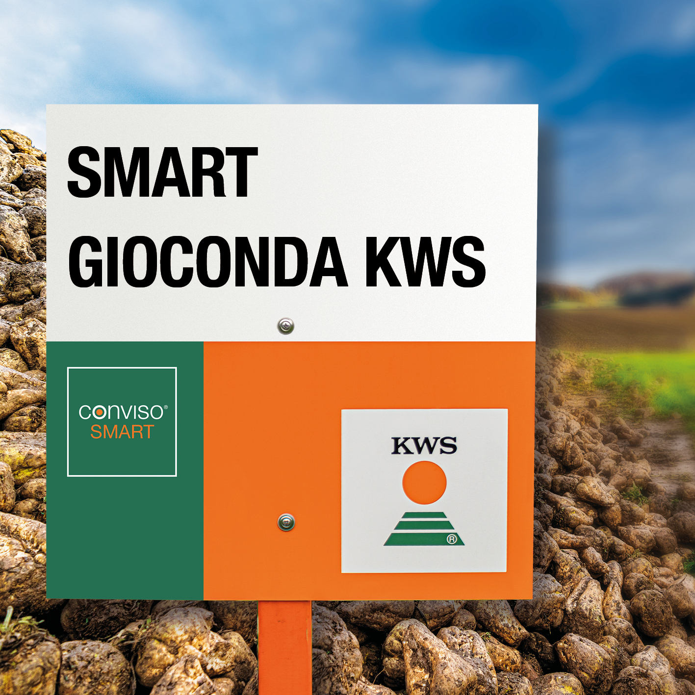 SMART-GIOCONDA-KWS-MD.jpg