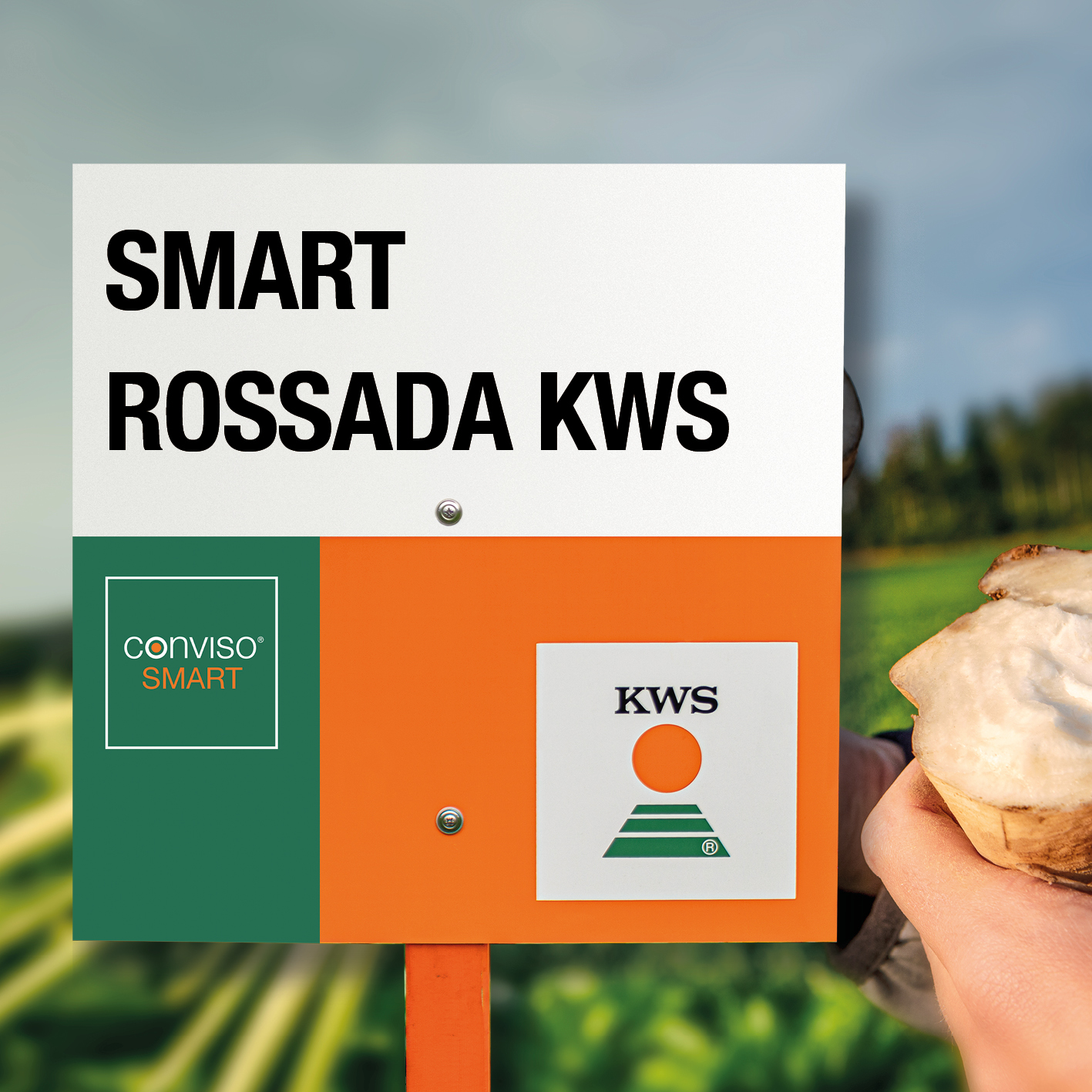SMART-ROSSADA-KWS-MD.jpg