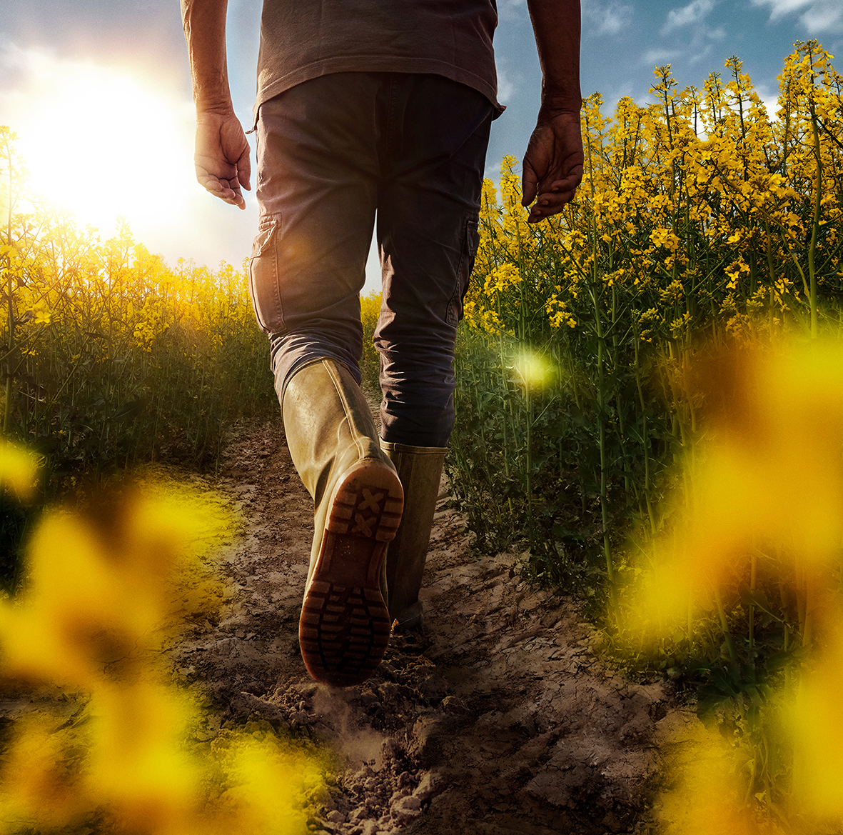 Stiefel im Rapsfeld
