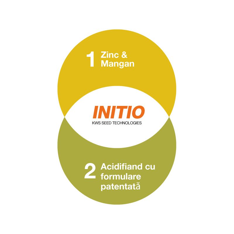 initio_logo.jpg