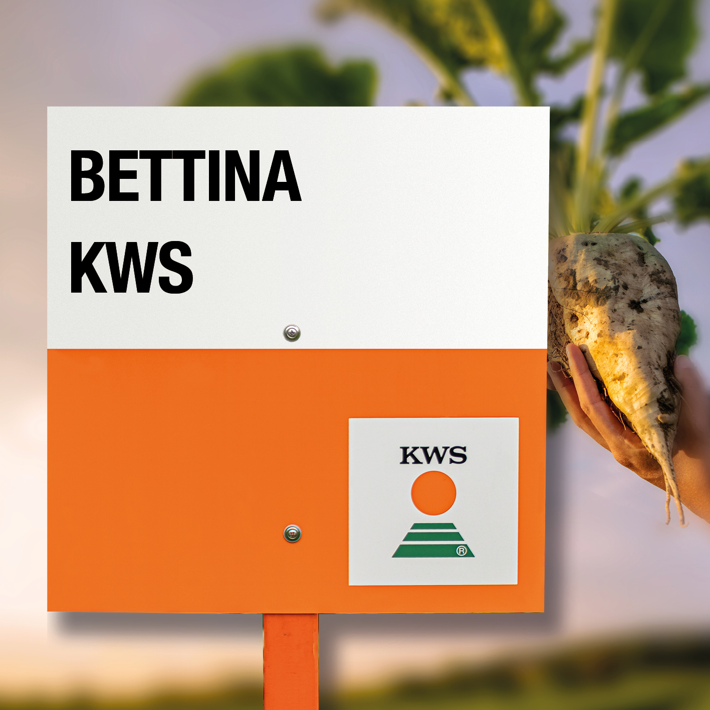 BETTINA-KWS_RO.jpg
