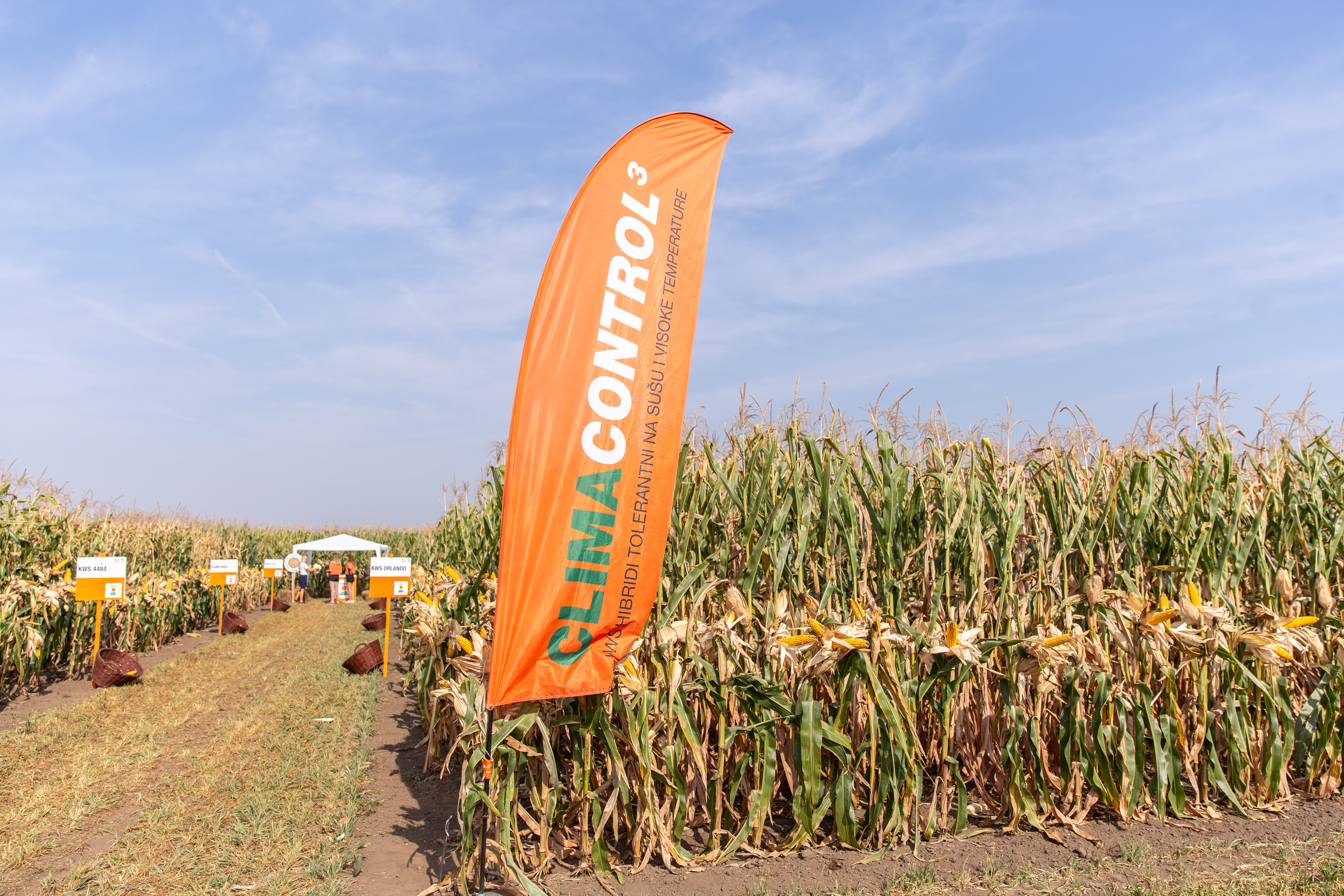 KWS Serbia ClimaControl3 Banner flying in front of a corn field