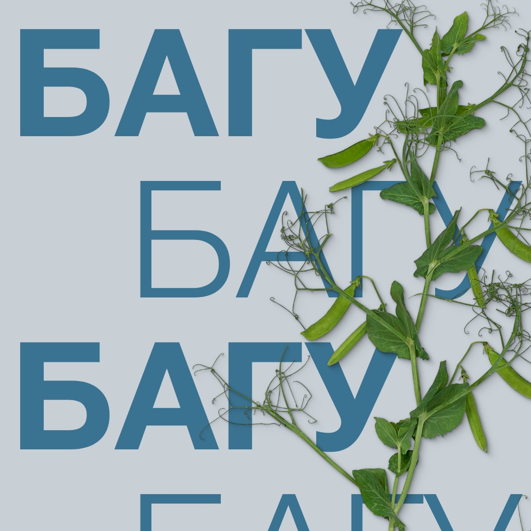 горох багу