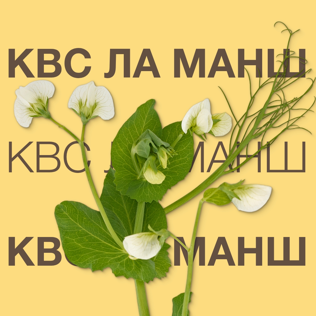 KVS_LA_MANS_Keyvisual_RU_1x1_1.jpeg