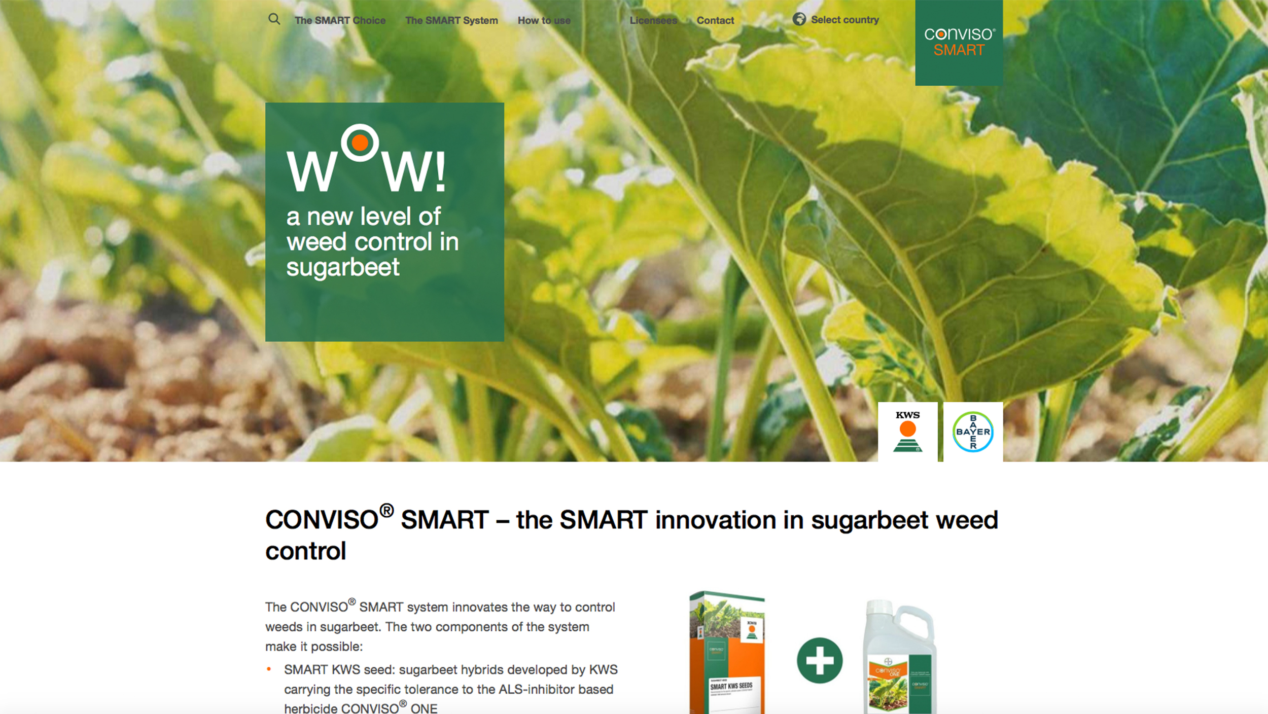KWS_Conviso_Smart_Website.jpg
