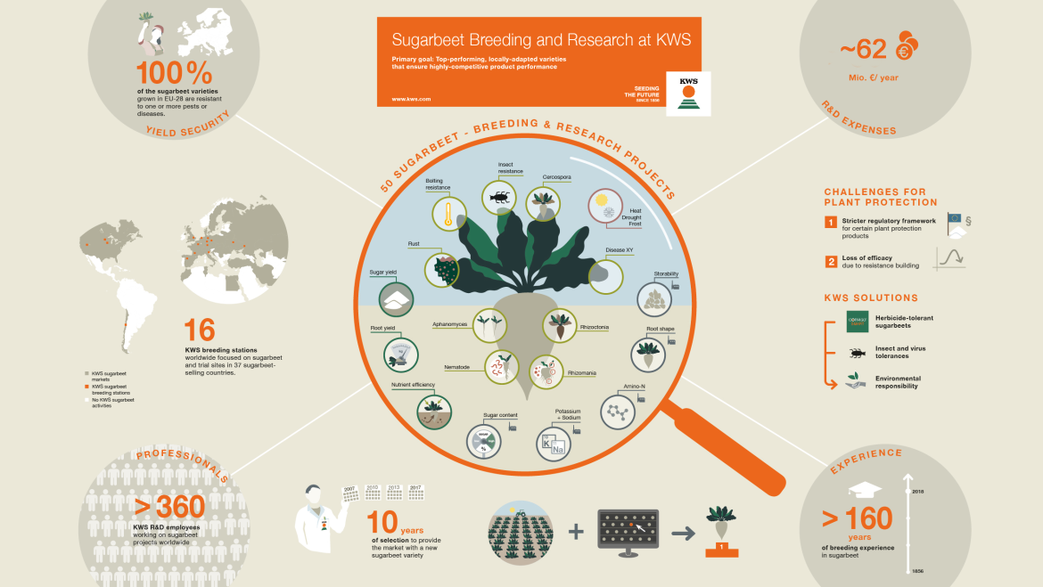 KWS_Infographic_R-D_and_Breeding.png