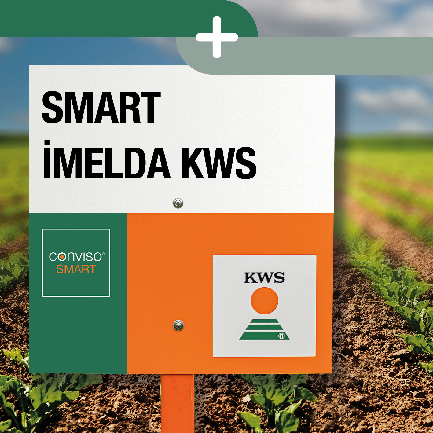 SMART_IMELDA_KWS_TR.jpg