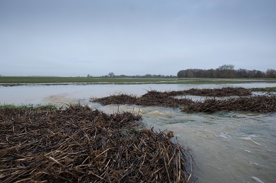 The wet autumns that caused such misery in 2019 and 2020 are likely to become more frequent.