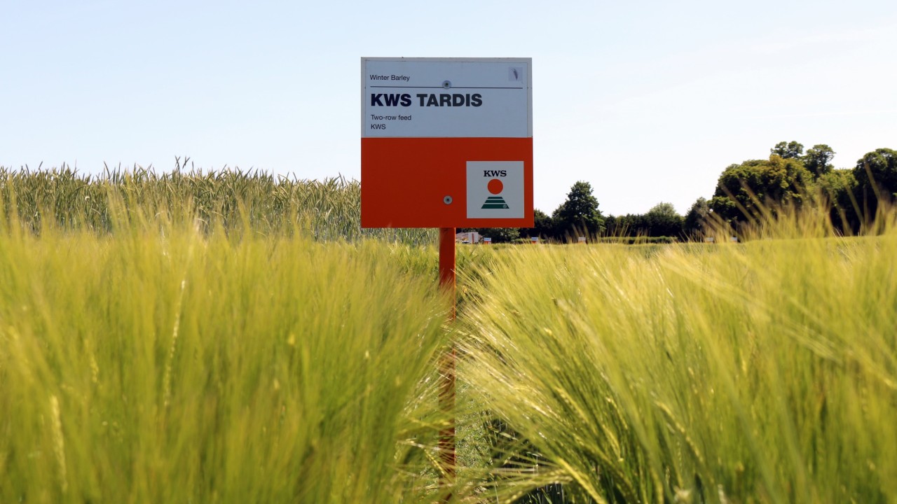 KWS-Tardis-in-field.jpg