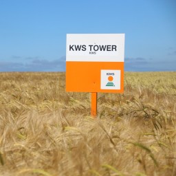 kws_barley_tower_2.jpg