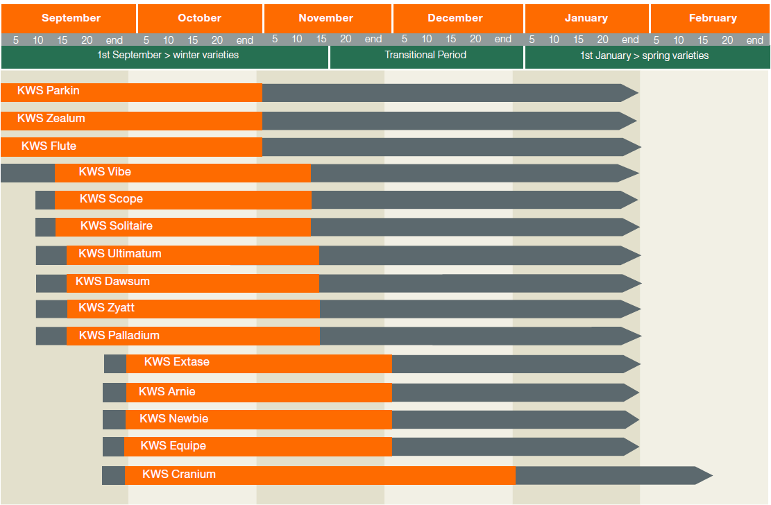 SPP_Chart_202526.png