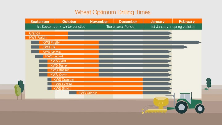 wheat-optimum-drilling-times.jpg