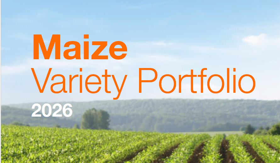 Maize_Portfolio_26.png