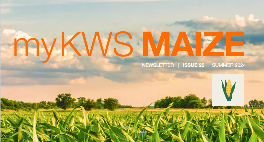 myKWS_Maize_Edition_20.png