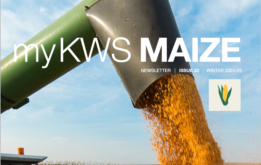 mykws-maize-winter-screenshot.png