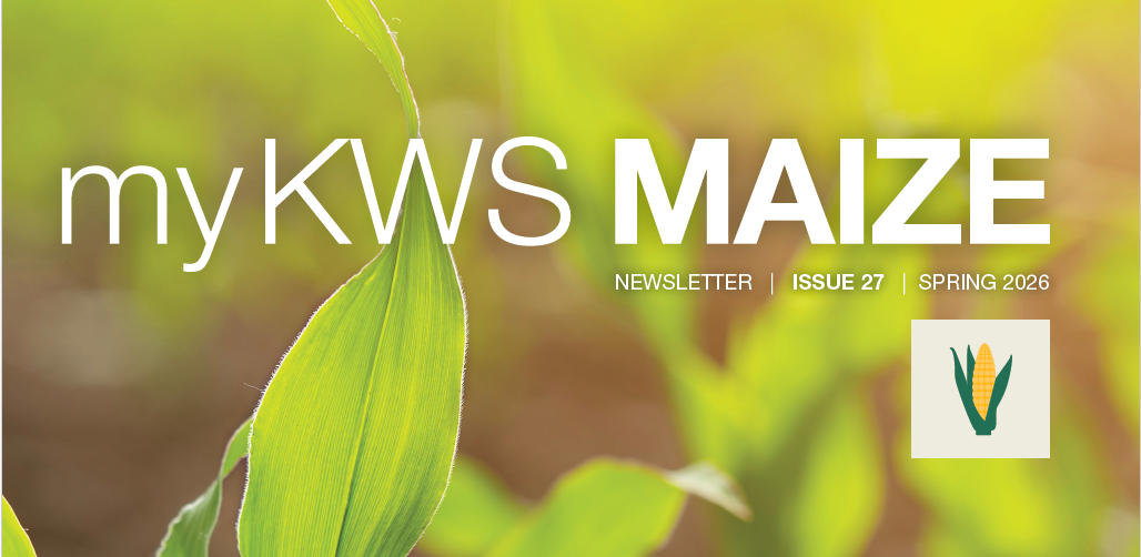 KWS_Maize_Newsletter_Spring_26.png