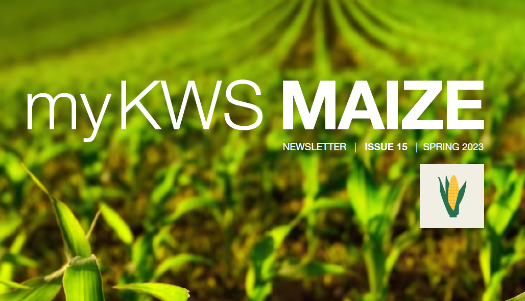 myKWS_Maize_Spring_2023.png