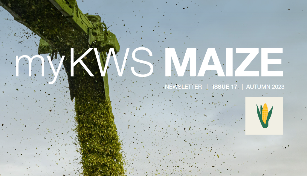 myKWS_maize_newsletter_autumn.png