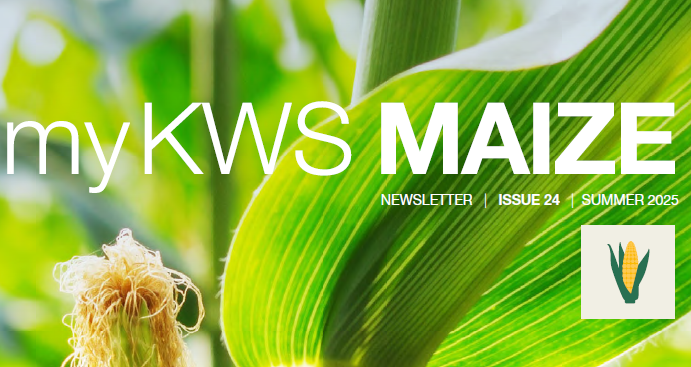 mykws_maize_newsletter_summer_25.png