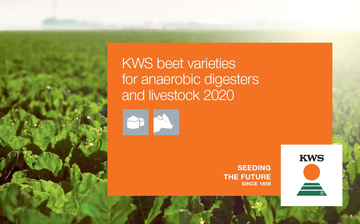 KWS-Feed-and-Energy-Beet-variety-guide-image.jpg